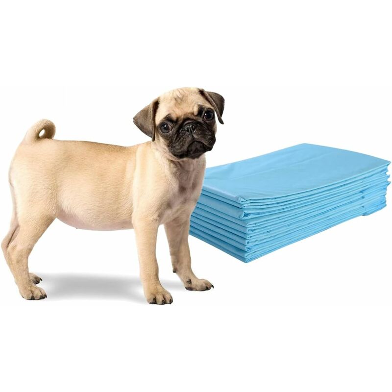 Lot de 300 Tapis Éducateurs pour Chiot, Alaise pour Chien Jetable à 5 Couches, Tapis Hygiénique Absorbant de 43 x 60 cm, Super Absorbants