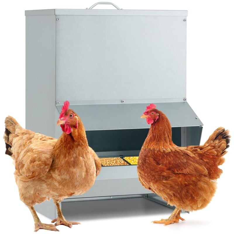 Mangeoire Poules xxl 22 kg, Fixation Murale avec Couvercle Ouvrable, Métal Galvanisé, Distributeur Automatique de Nourriture pour Canards, Poules,