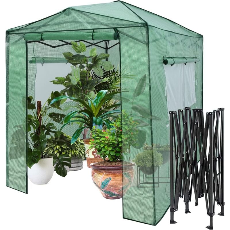 Serre de Jardin Portable avec 2 Larges Fenêtres Observation, Tente pour Plantes Porte Enroulable à Double Fermeture Éclair 180 x 250CM pour Semis