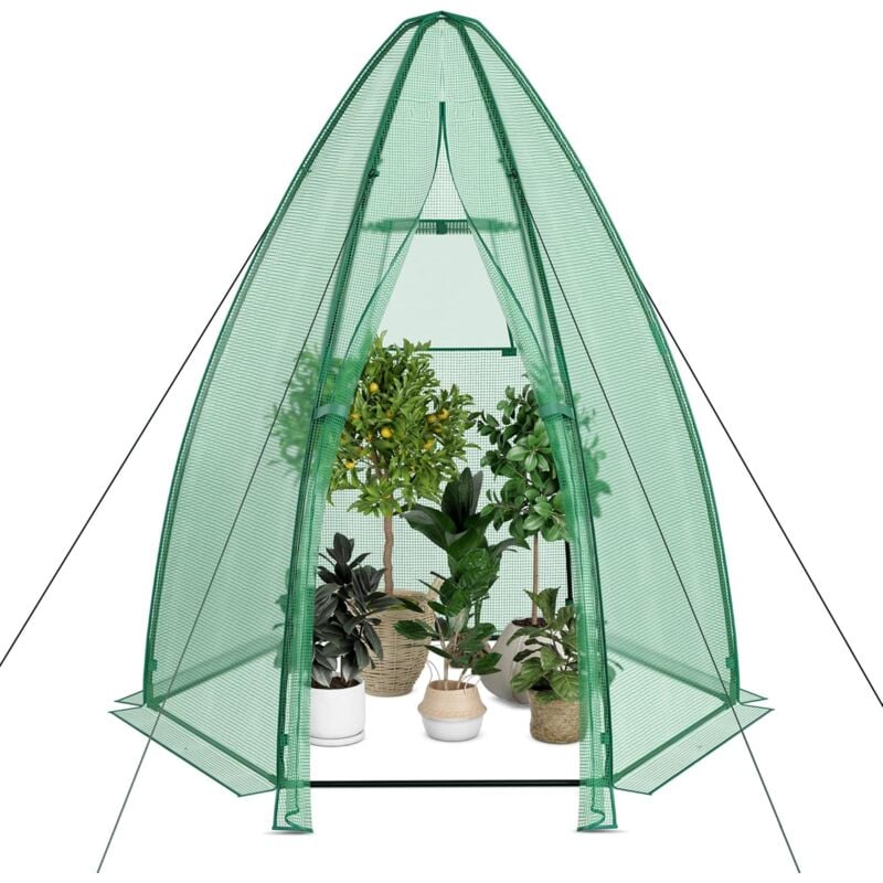 Serre de Jardin Portable en pe Porte Enroulable, Mini Serre de Plantes avec Fenêtre en Treillis Outils de Fixation Contre Froid et Gel pour Plante en