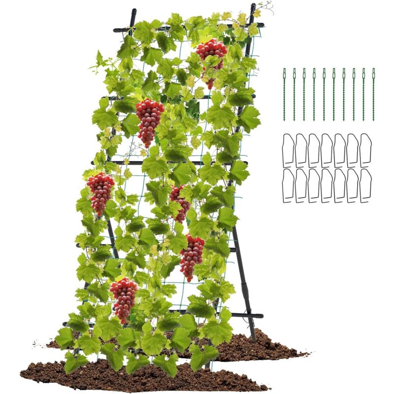 Costway - Treillis de Jardin pour Plantes Grimpantes à Cadre en 'a' avec Filet, Support Vertical pour Plantes avec Poteaux Métalliques Recouverts de