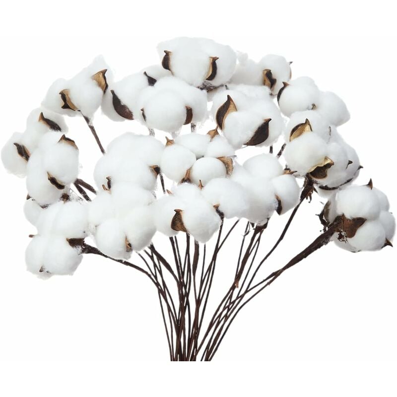 Lot de 20 boules de coton séchées en coton blanc avec bâton - Parfait pour les couronnes, décoration de maison de campagne