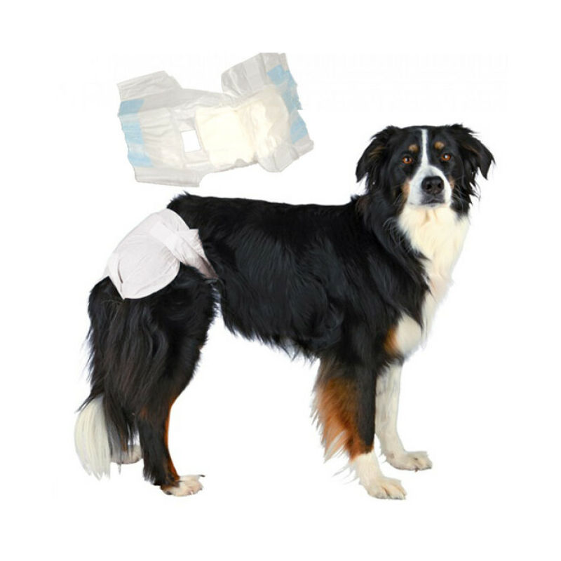 Couche culotte jetable blanche pour incontinence pour chienne paquet de 12 couches T00