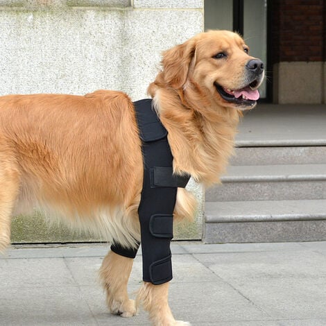 Neoally Coudière de protection pour chien pour coude et épaule canine pour  hygroma, dysplasie, arthrose, callosités, escarres et luxation de l'épaule