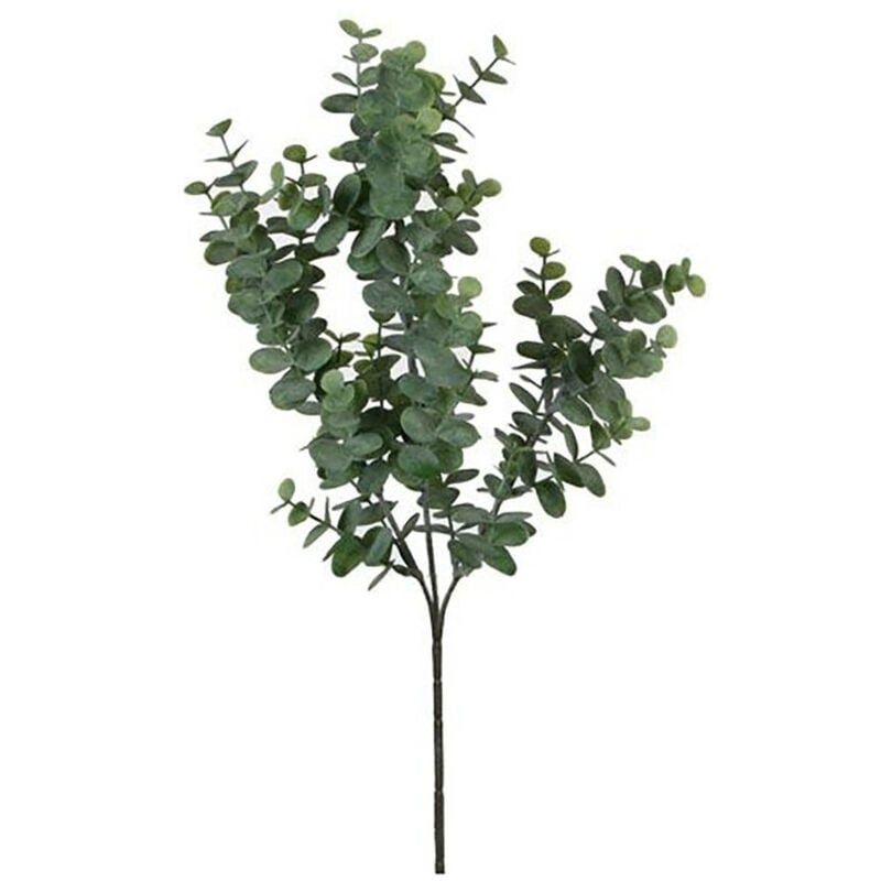Couleur Vert Eucalyptus 65 Cm