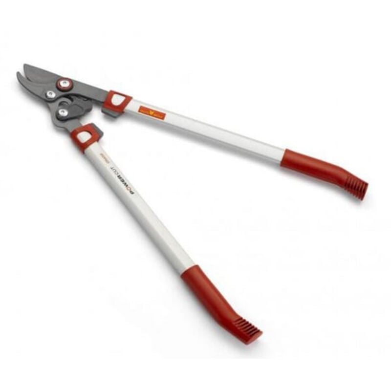 Outils Wolf - Coupe branche à coupe franche Wolf OS650