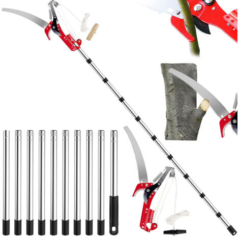 Coupe Branche Telescopique avec Lame en Acier au Carbone SK5, Secateur Telescopique 2 en 1, Scie à Élaguer Extensible Réglable, Echenilloir Télescopique pour Élagage Palmiers Arbustes