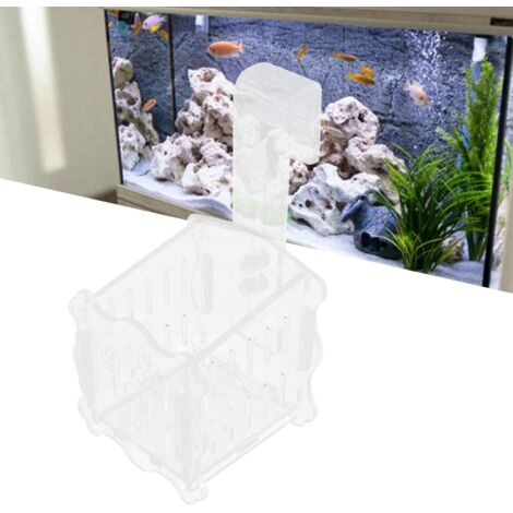 Coupe de Culture pour Plantes Aquatiques Suspension - Petite Taille pour Aquarium Décoration Paysagère