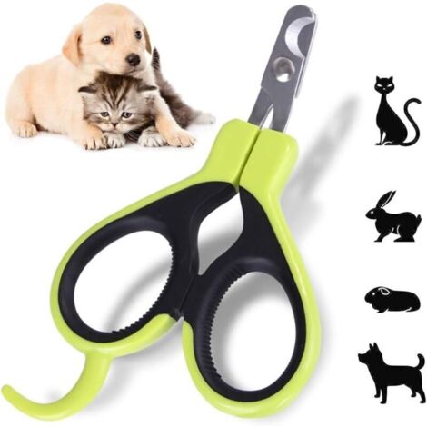 Coupe-griffes pour animaux de compagnie – Coupe-griffes pour lapin, chiot, chaton, cochon d'Inde, petit chien – Aiguisé, sûr, anti-rayures (vert)