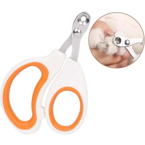 Coupe-griffes pour chat à trous ronds : évitez de trop couper les griffes de votre animal. Coupe-griffes (orange) idéal pour les nouveaux propriétaires d'animaux.