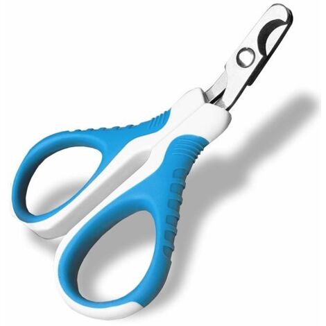 Coupe-griffes professionnel pour chat, ciseaux à ongles incurvés en acier inoxydable, coupe-ongles pour chiots, lapins, oiseaux et