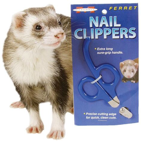 Coupe ongle pour furet