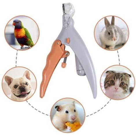 Coupe-ongles - Professionnel - Chien et chat - Lumière LED - Protection éclaboussures - Grip antidérapant