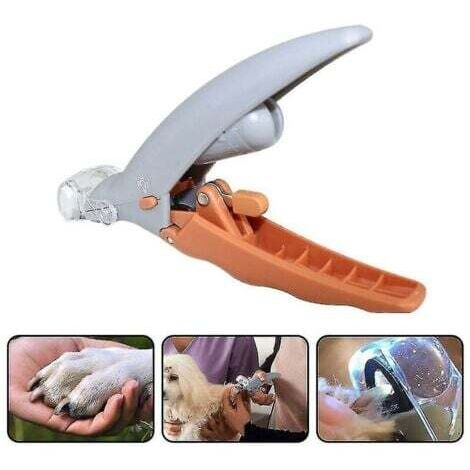 Coupe-ongles professionnel pour animaux de compagnie, ciseaux pour chiens et chats, pince à griffes d'orteils