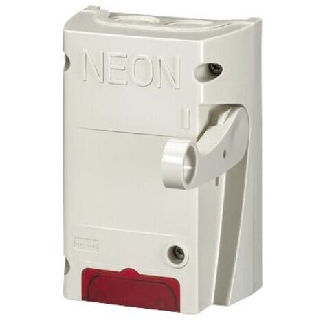 Coupure neon bip 16a     38050