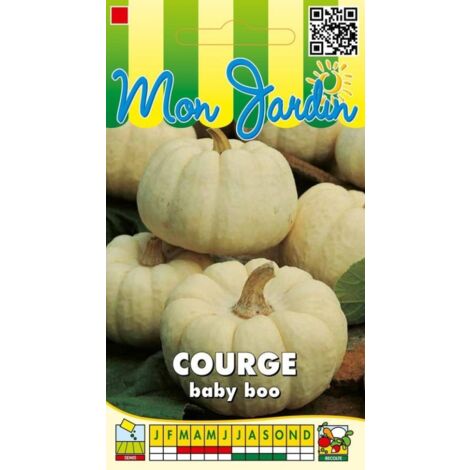 Courge Baby Boo - 3g