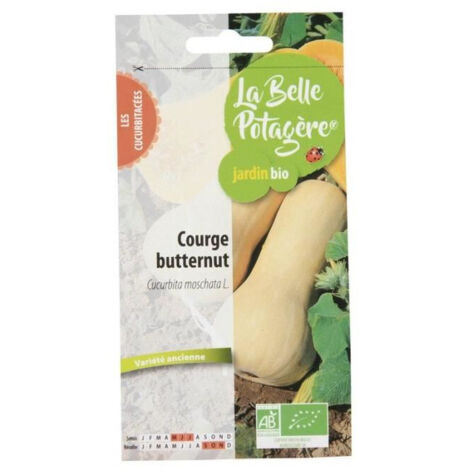 Courge butternut 2,5 g