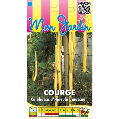 Courge Calebasse longue massue d'Hercule - 3g