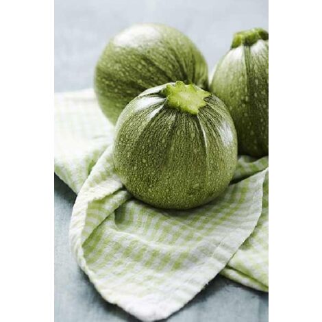 Courge Géode Hyb F1 - 2g