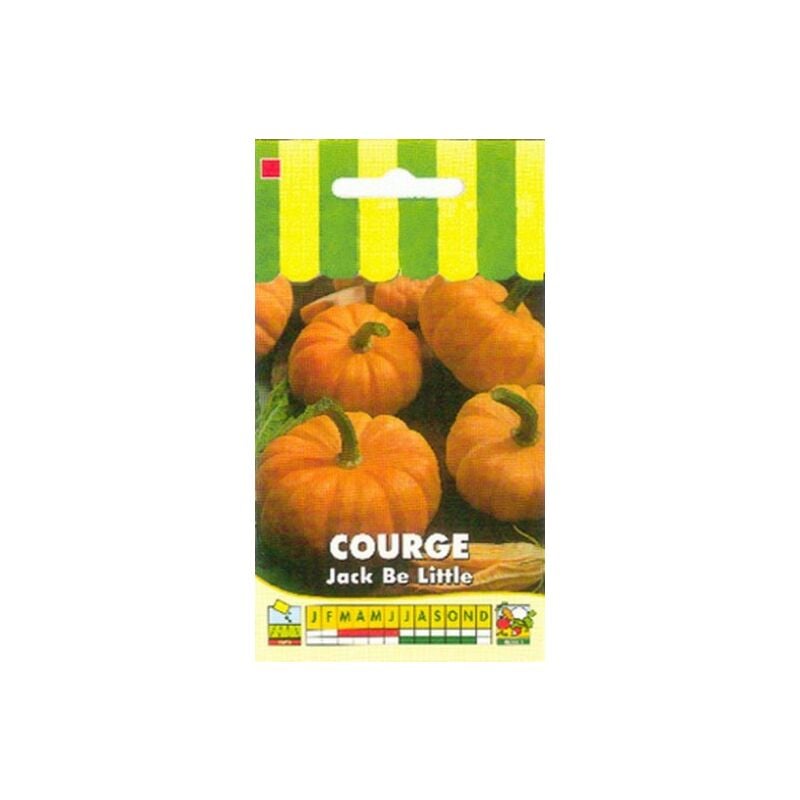 Graines Bocquet - Courge Jack Be Little - 3g