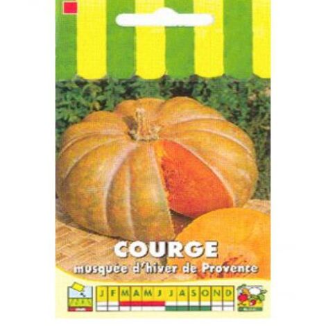 Courge musquée de Provence le sachet de 12  15 graines (2g)