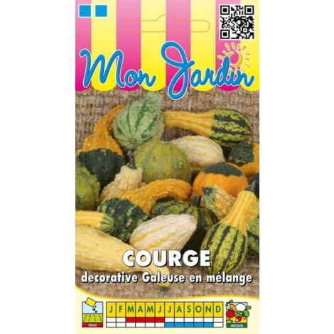 Courges décoratives galeuses en mélange - 3g
