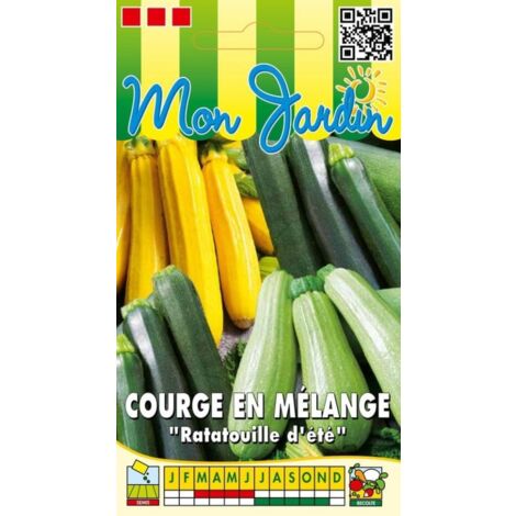 Courges en mélange (Ratatouille d'été) - 2g