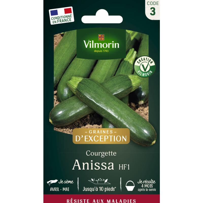 Courgette Anissa HF1 - Graines d'Exception Vilmorin