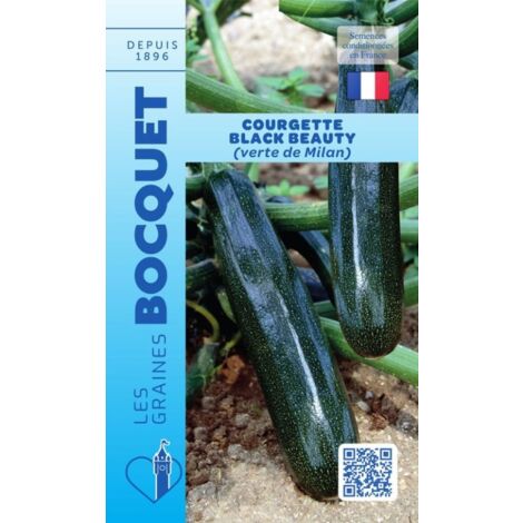Courgette Black Beauty - 5g