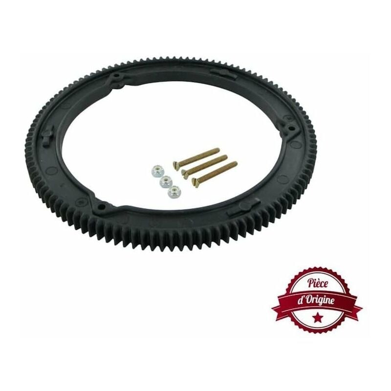 Couronne de démarreur Briggs et Stratton 499612