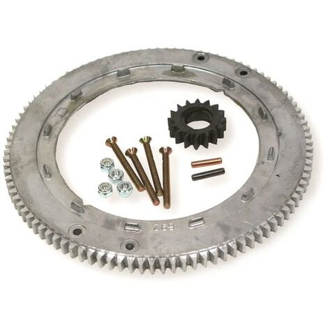 Couronne demarreur moteur Briggs et Stratton - 399676, 392134, 696537