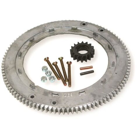 Couronne démarreur moteur Briggs & Stratton – Compatible 399676, 392134, 696537 – Diamètre 209mm – Installation facile avec accessoires inclus