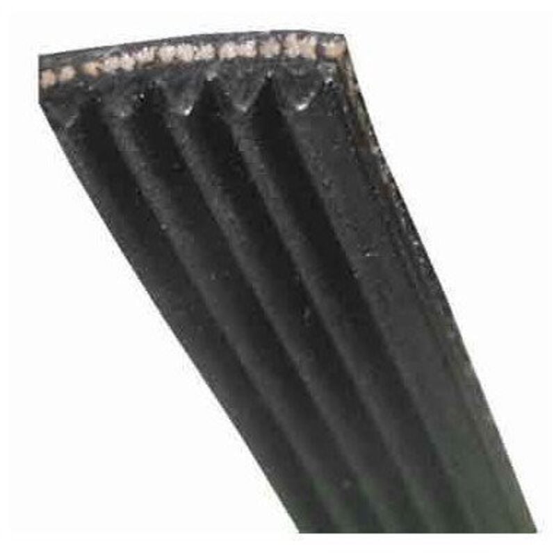 Courroie 1205j5 mael ll 1205 J 5 MA