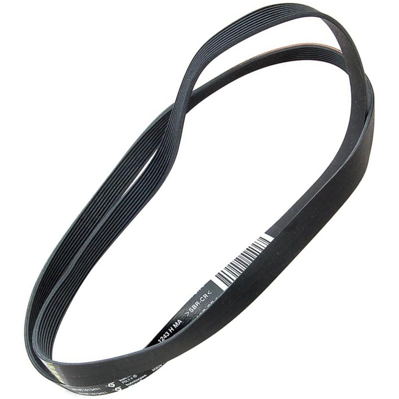 Courroie 1243 H8 pour Lave-linge WHIRLPOOL 481935818143, C00319414