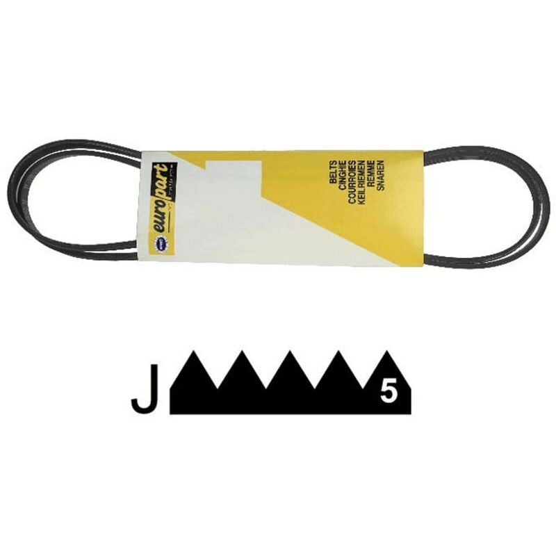 Courroie 1956 J5 pour seche linge Thomson 57X0777