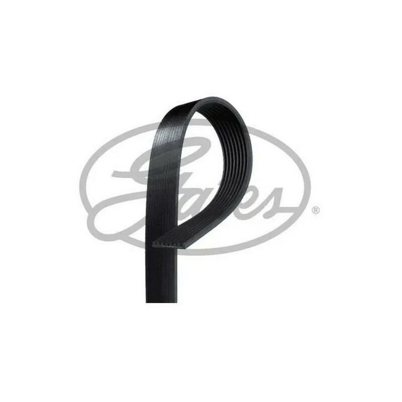 Courroie accessoire unique fit GATES 6 stries longueur 1835 mm
