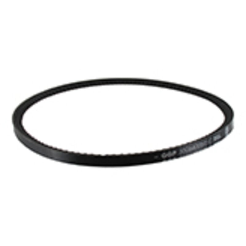 Courroie CASTELGARDEN - GGP 135064005/0