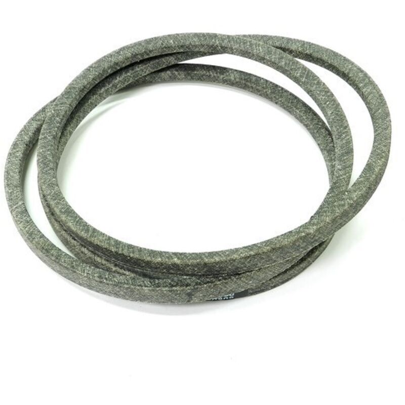 Courroie ayp 532180808