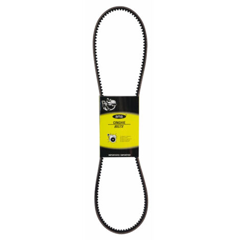 Courroie crantée 2.4119.113.0 Type AVX10 adaptable SAME