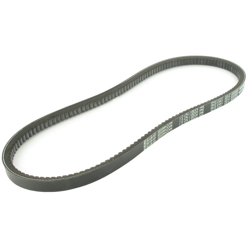 Outdoor Power Sport 12249 Courroie trapézoïdale crantée 16 x 12,1 mm x 81' 5L810