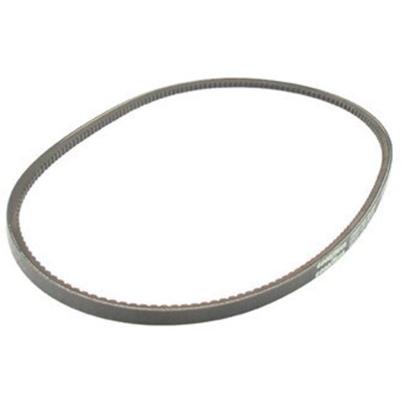 Courroie wolf Modèles divers