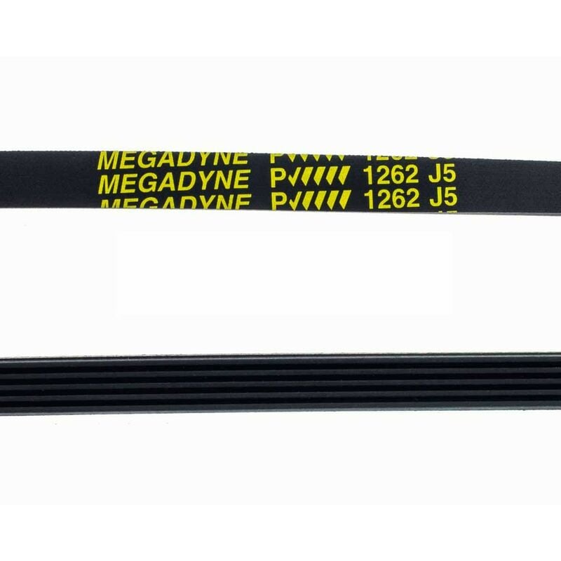 Courroie De Lave-Linge Balay T1262 J-5 Rainurée