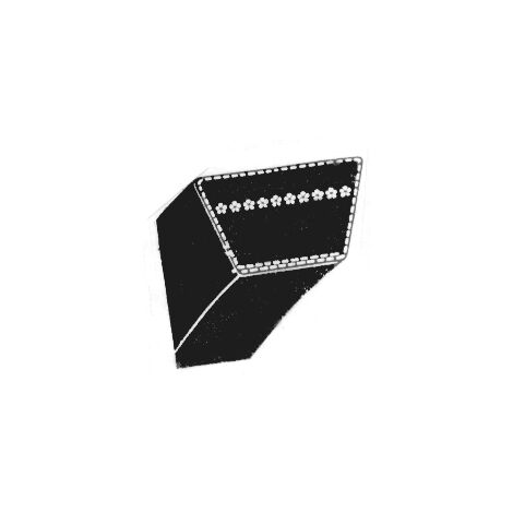 Courroie de traction tondeuse Outils Wolf - 09010