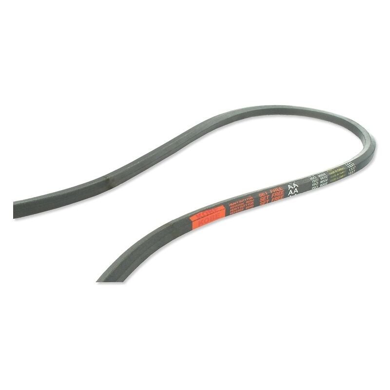 Jardiaffaires - Courroie de transmission AA94 remplace 754-04174