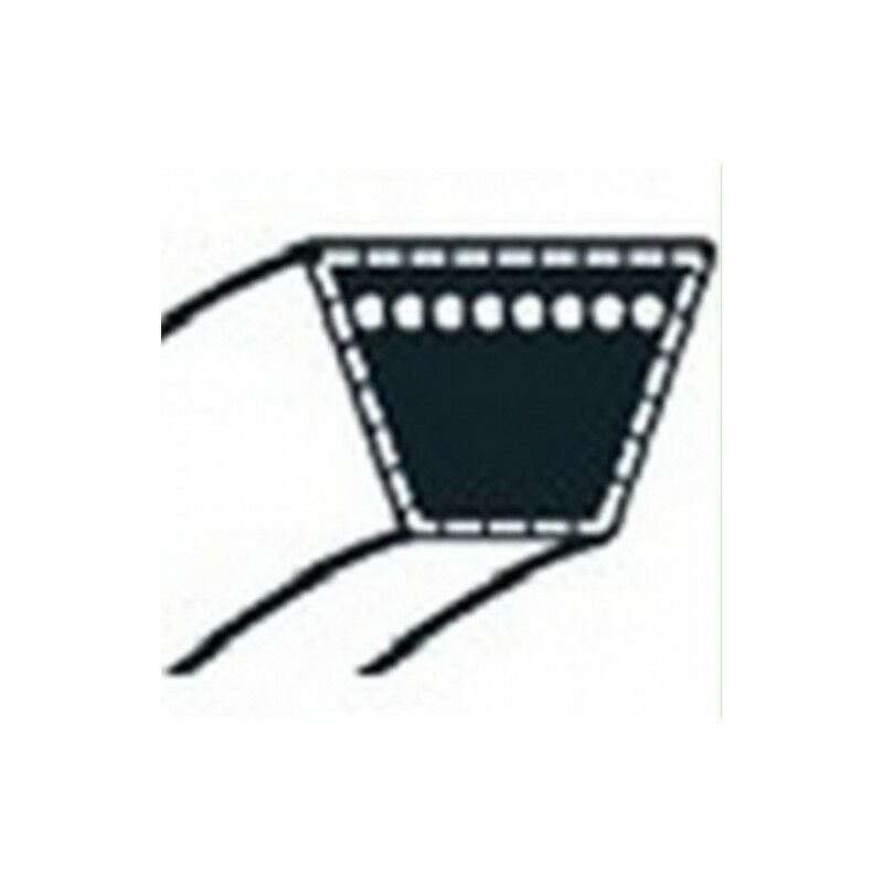 Outils Wolf - 28012 - Courroie de Transmission pour tondeuse autoportée A80