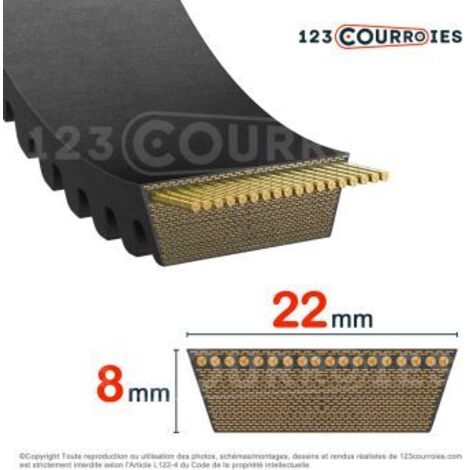 Courroie de variateur Contitech CONTI V VARISPEED ADVANCE 22x8x800 Li