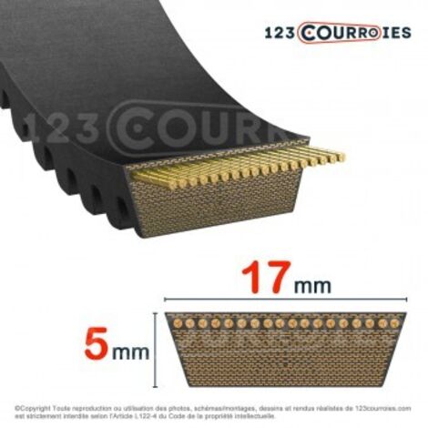 Courroie de variateur norme ISO 17x5x776