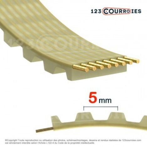 Courroie dentée en polyuréthane T5-295-16