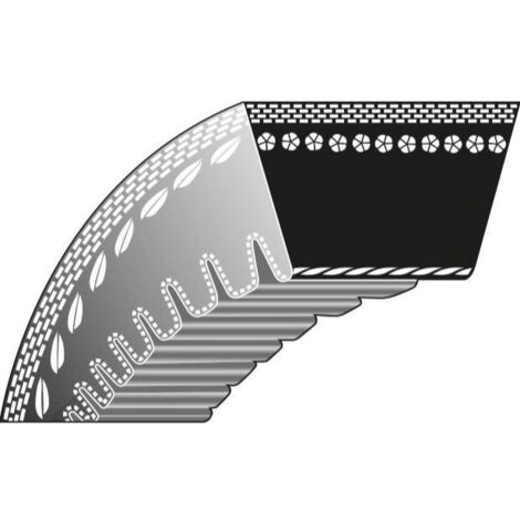Courroie dentée pour tondeuse KLIPPO Comet Pro 21 Pro S