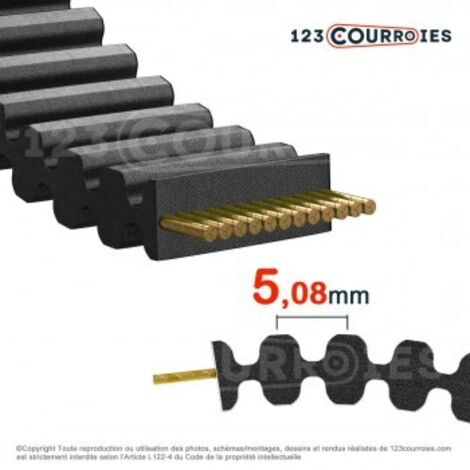 Courroie double dentée 160DXL025